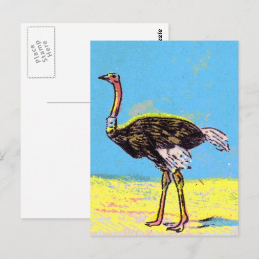 Carte Postale Ostrich (Devant / Derrière)