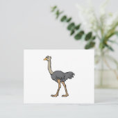 Carte Postale Ostrich (Debout devant)