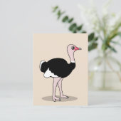 Carte Postale Ostrich (Debout devant)