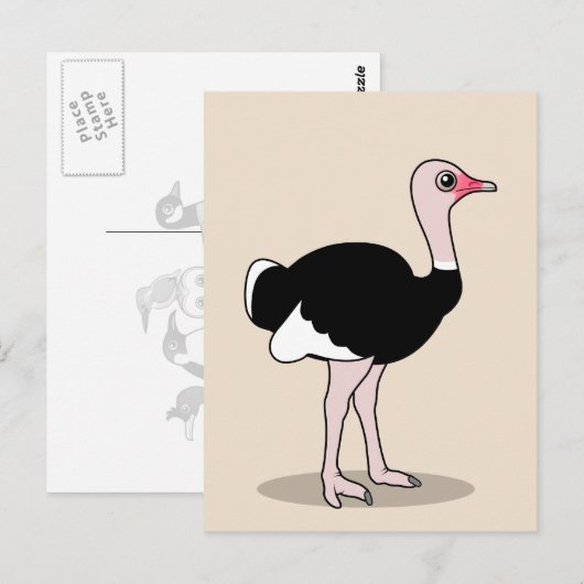 Carte Postale Ostrich (Devant / Derrière)