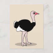 Carte Postale Ostrich (Devant)