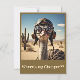 CARTE POSTALE " OSTRICH AVIATOR "