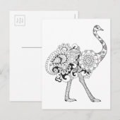 Carte Postale Ostrich inspiré (Devant / Derrière)