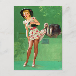 Carte Postale Ostrich Pin Up
