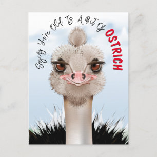 Carte Postale Ostrich Pun drôle Anniversaire