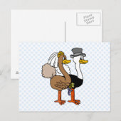 Carte Postale Ostrichs mariés (Devant / Derrière)