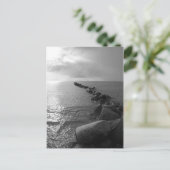 Carte Postale Ostseeinsel Fehmarn (Debout devant)