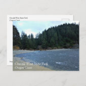 Carte Postale Oswald West State Park, Oregon Coast (Devant / Derrière)