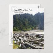 Carte Postale Oswald West State Park, Oregon Coast (Devant / Derrière)