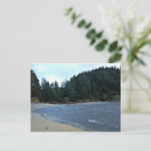 Carte Postale Oswald West State Park, Oregon Coast (Debout devant)