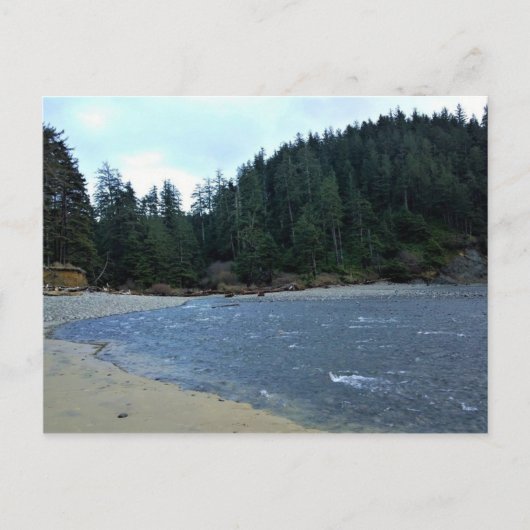 Carte Postale Oswald West State Park, Oregon Coast (Devant)