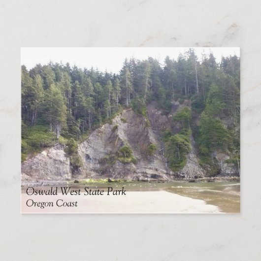 Carte Postale Oswald West State Park, Oregon Coast (Devant)