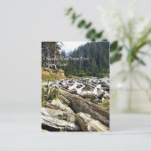 Carte Postale Oswald West State Park, Oregon Coast (Debout devant)