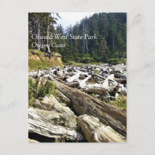 Carte Postale Oswald West State Park, Oregon Coast