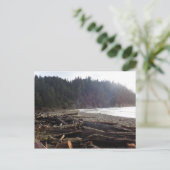 Carte Postale Oswald West State Park, Oregon Coast (Debout devant)