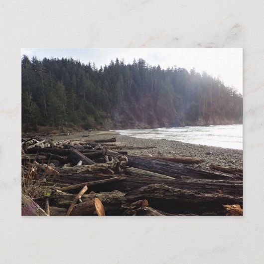 Carte Postale Oswald West State Park, Oregon Coast (Devant)
