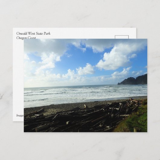 Carte Postale Oswald West State Park, Oregon Coast (Devant / Derrière)