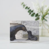 Carte Postale Otaria flavescens (Debout devant)
