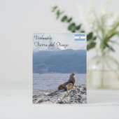 Carte Postale Otaries dans le canal beagle - Argentine (Debout devant)