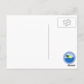 Carte Postale Otaries de l'île d'Amak (Dos)