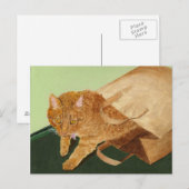 Carte Postale Otis le chat (Devant / Derrière)