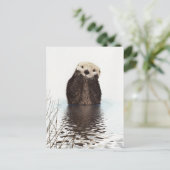 Carte Postale Otter (Debout devant)