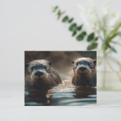 Carte Postale Otter (Debout devant)