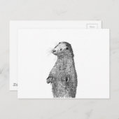 Carte Postale Otter (Devant / Derrière)