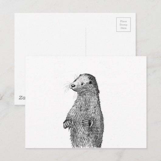Carte Postale Otter (Devant / Derrière)