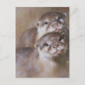 Carte Postale Otter (Devant)