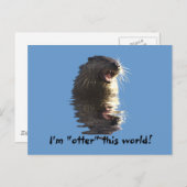 Carte postale OTTER (Devant / Derrière)