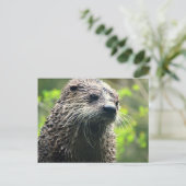 Carte postale Otter de l'État de Washington (Debout devant)