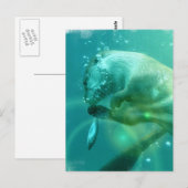 Carte postale Otter de natation (Devant / Derrière)