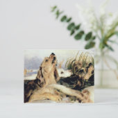 Carte Postale Otter Hounds (Debout devant)