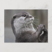 Carte postale Otter Mastermind (Devant)