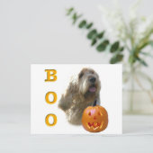 Carte Postale Otterhound Boo (Debout devant)