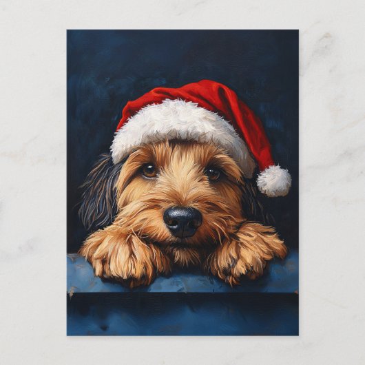 Carte Postale Otterhound Dans Un Chapeau De Père Noël (Devant)