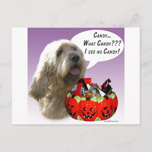 Carte Postale Otterhound Halloween Candy (Devant)