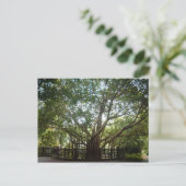 Carte Postale Où commence la vie (Debout devant)