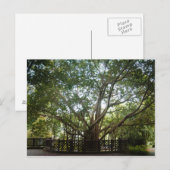 Carte Postale Où commence la vie (Devant / Derrière)