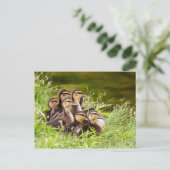 Carte Postale Où est maman ? (Debout devant)