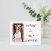 Carte Postale Où est mon café ? (Debout devant)