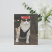 Carte Postale Où est mon porc ? (Debout devant)