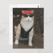 Carte Postale Où est mon porc ? (Devant / Derrière)