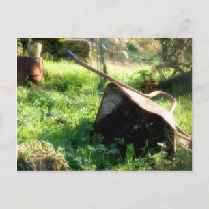 Carte Postale Où est Peter Rabbit ?