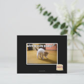 Carte Postale Où va la gravité ? (Debout devant)