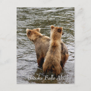 Carte Postale Où voyez-vous maman, Brooks Falls Alaska
