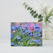 Carte Postale Oublie-moi-pas les fleurs (Debout devant)