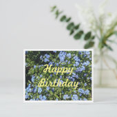 Carte postale Oublier-Me-Pas Anniversaire (Debout devant)