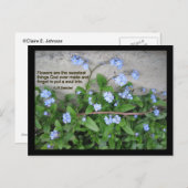 Carte Postale Oubliez-Moi-Nots (Devant / Derrière)